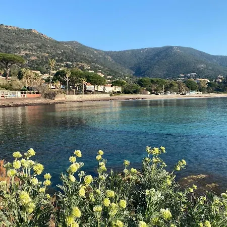 50m From Pramousquier