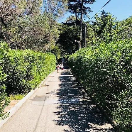50m From Pramousquier
