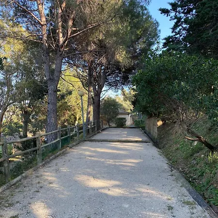 50m From Pramousquier Apartment